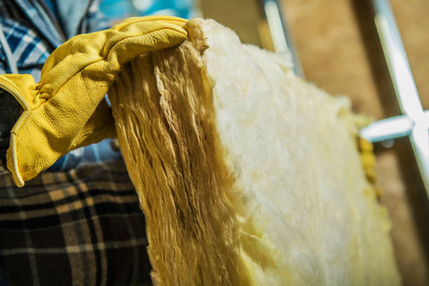 Best Wall Insulation Contractor  in Cienega Springs, AZ