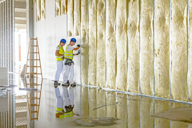 Best Attic Insulation Installation  in Cienega Springs, AZ
